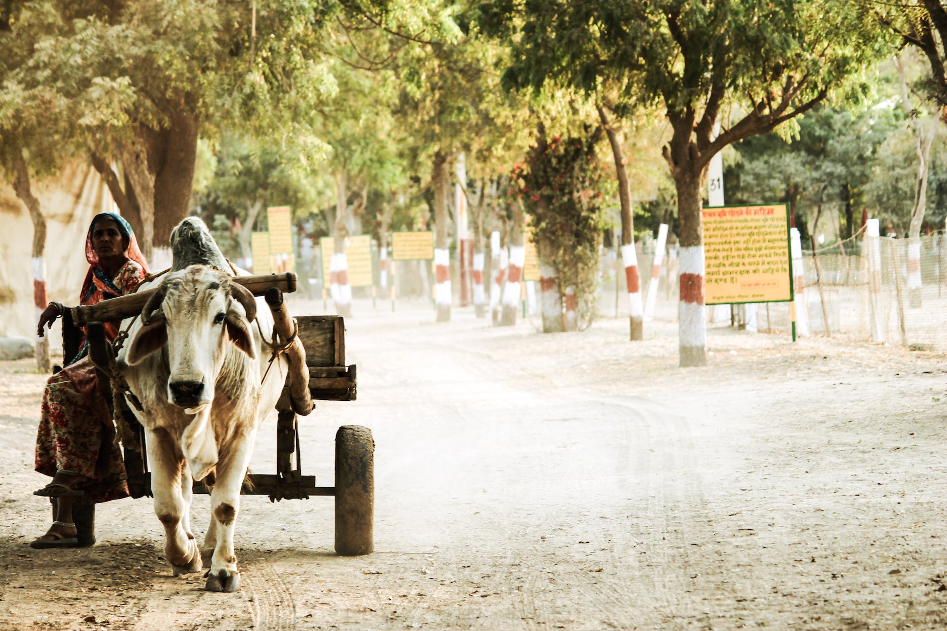 India faced warmest February this year since 1877: IMD