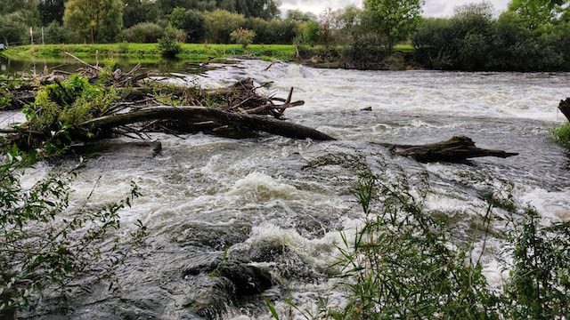 Flash floods affect Himachal Pradesh, nine dead, over 200 stranded